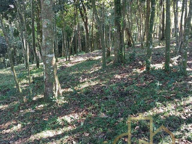Área para Venda em São Bernardo do Campo - 5
