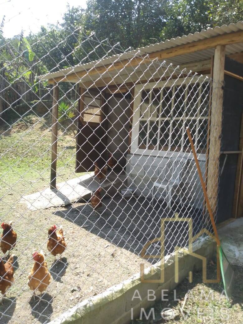 Chácara à venda com 2 quartos, 6250m² - Foto 31