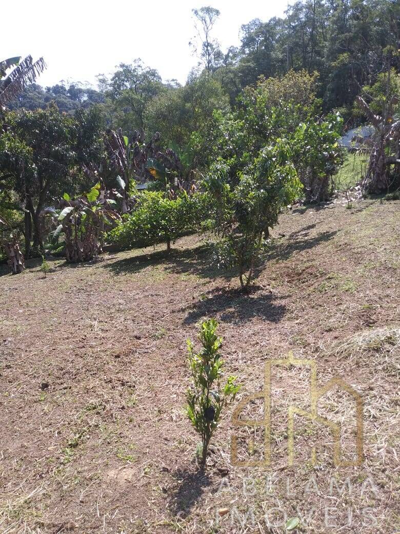 Chácara à venda com 2 quartos, 6250m² - Foto 33