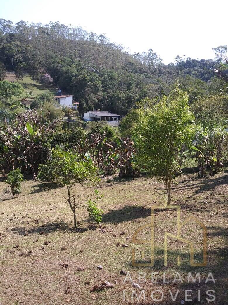 Chácara à venda com 2 quartos, 6250m² - Foto 34
