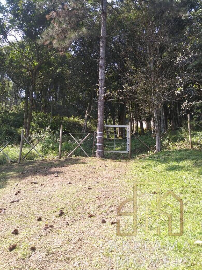 Chácara à venda com 2 quartos, 6250m² - Foto 35