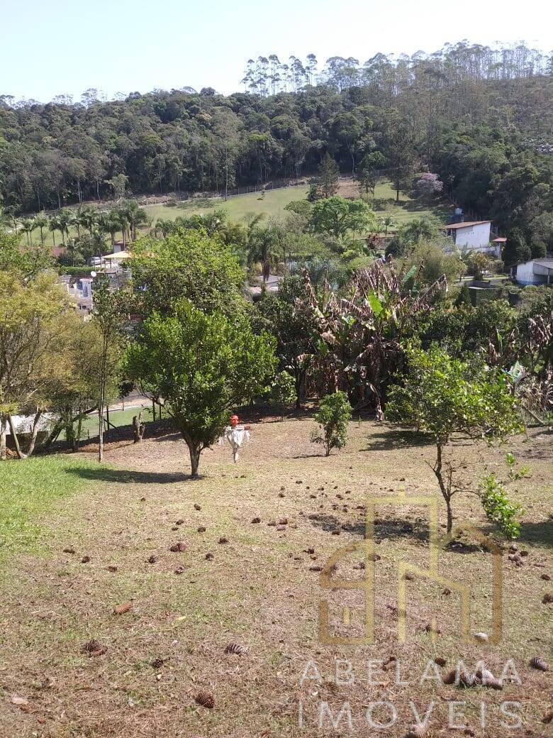 Chácara à venda com 2 quartos, 6250m² - Foto 36