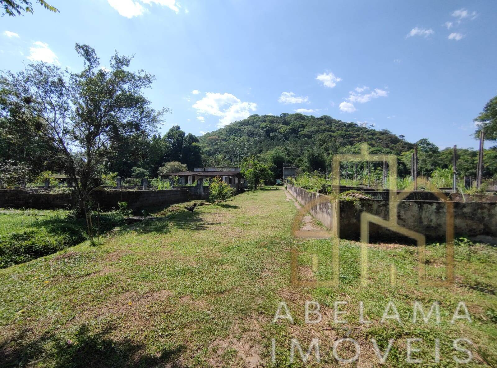 Chácara à venda com 3 quartos, 15000m² - Foto 24