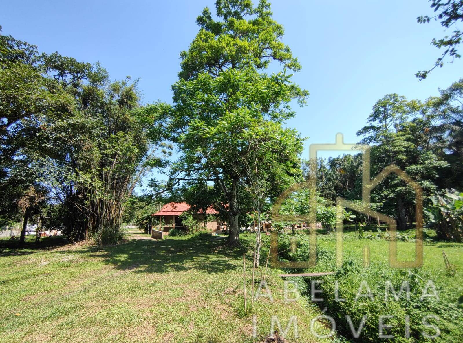 Chácara à venda com 3 quartos, 15000m² - Foto 25