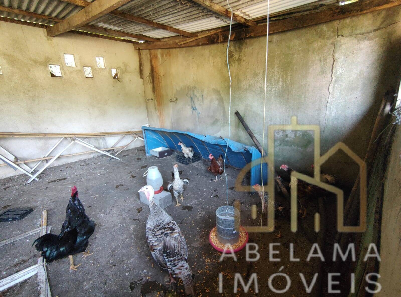 Chácara à venda com 3 quartos, 15000m² - Foto 27