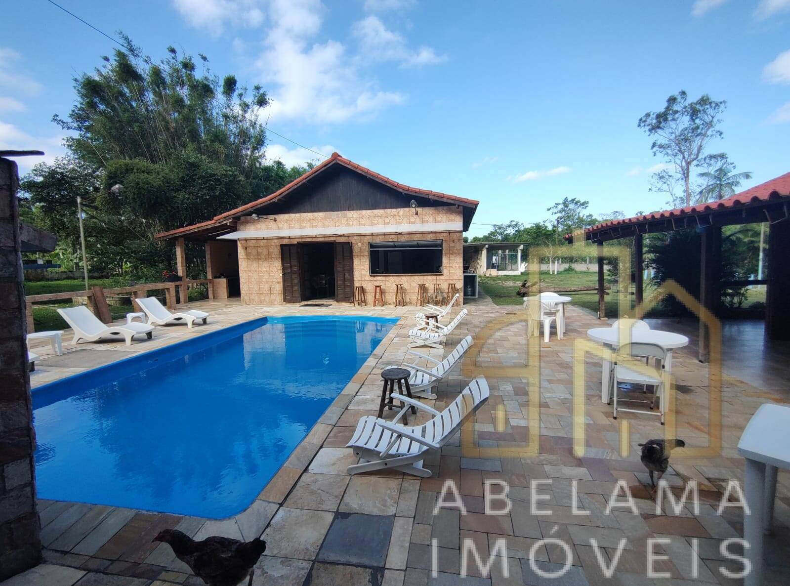 Chácara à venda com 3 quartos, 15000m² - Foto 12