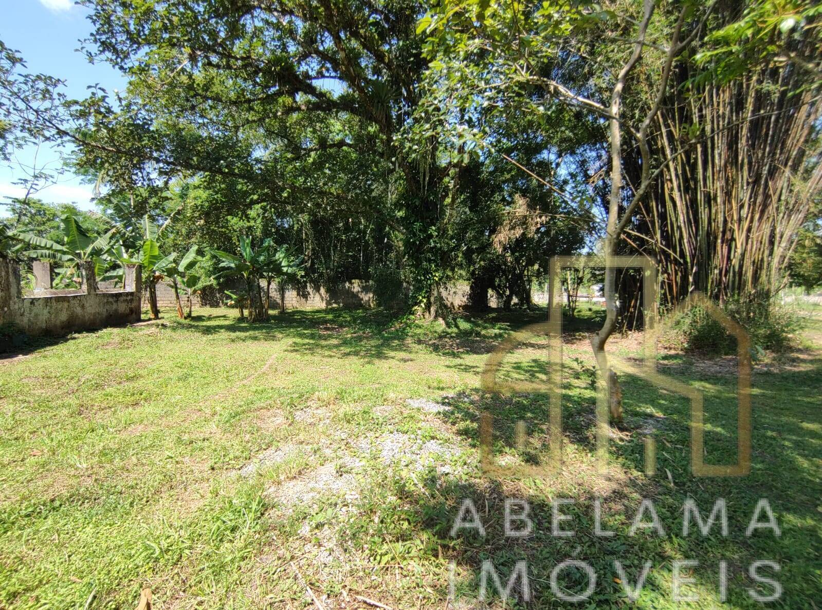 Chácara à venda com 3 quartos, 15000m² - Foto 43