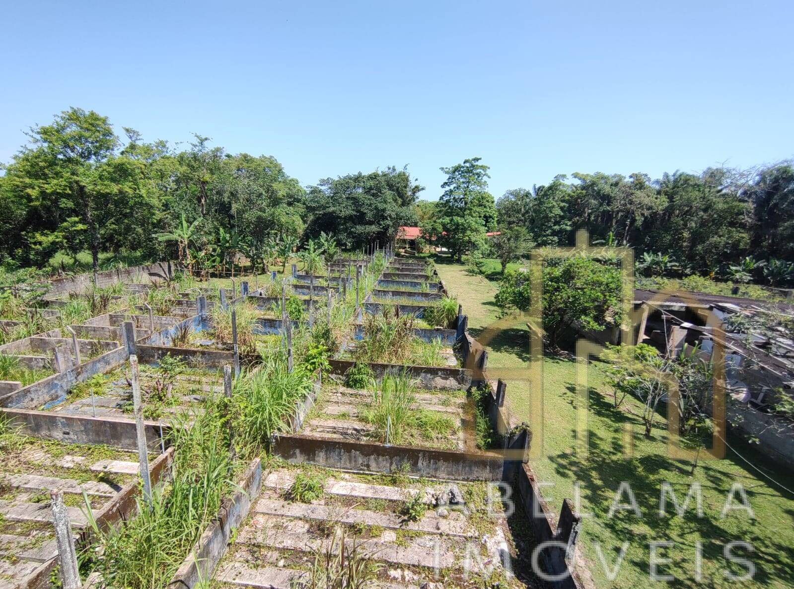 Chácara à venda com 3 quartos, 15000m² - Foto 44