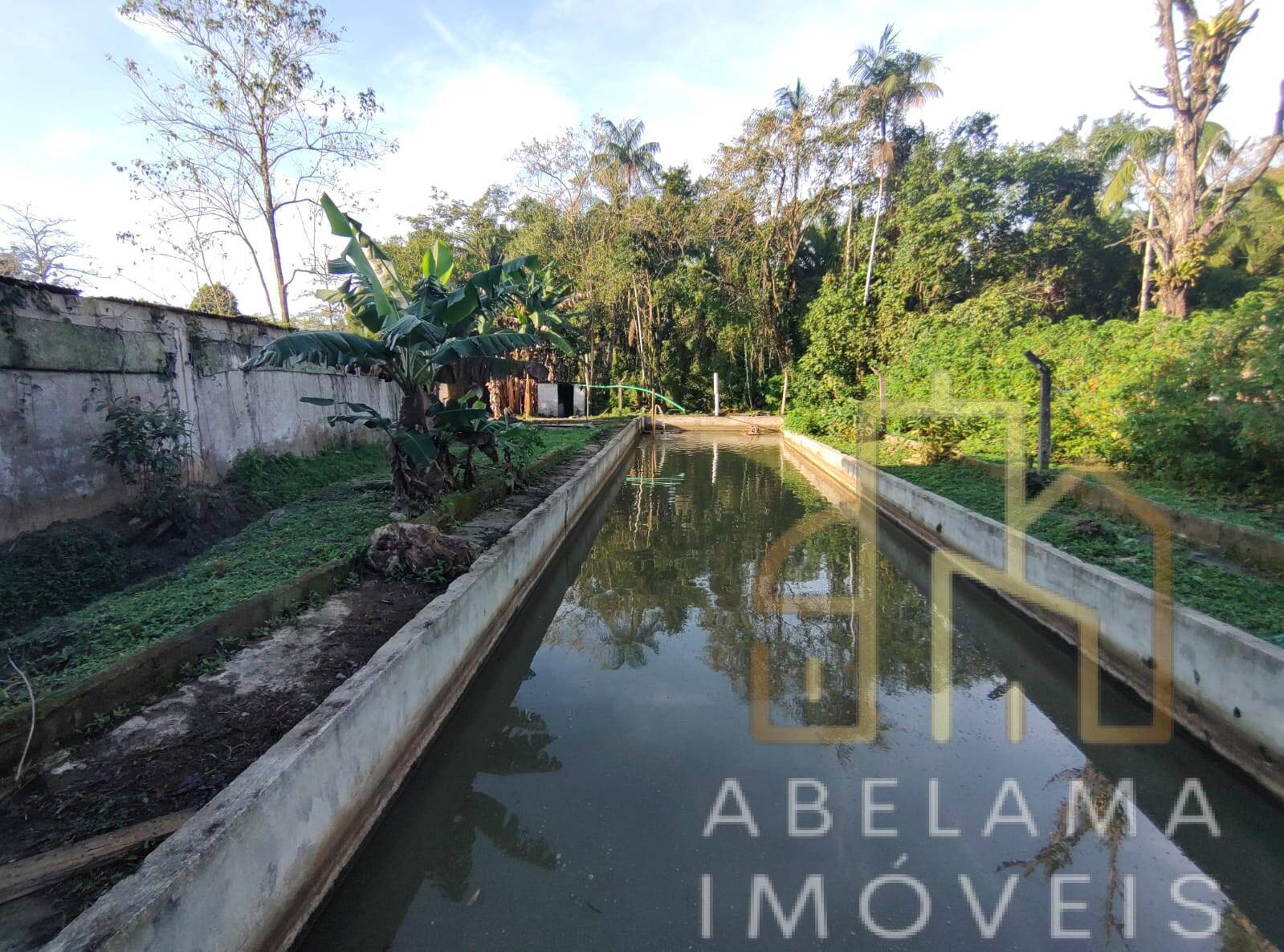 Chácara à venda com 3 quartos, 15000m² - Foto 45